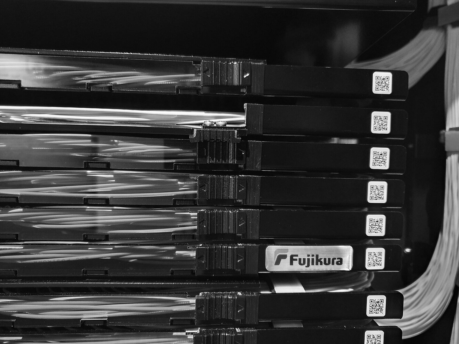 Bandejas de fibra óptica com cordões conectados